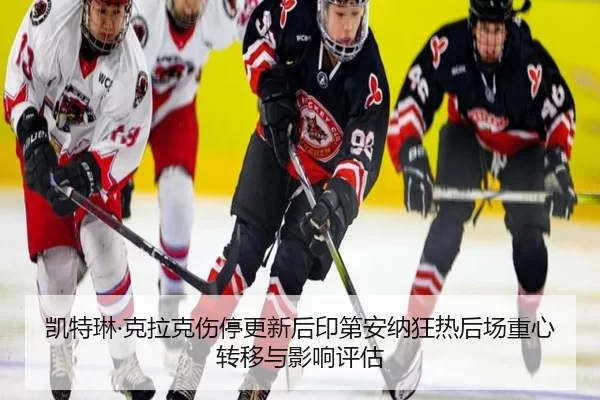 kai-te-lin-ke-la-ke-shang-ting-geng-xin-hou-yin-di-an-na-kuang-re-hou-chang-zhong-xin-zhuan-yi-yu-ying-xiang-ping-gu-2-342.jpg